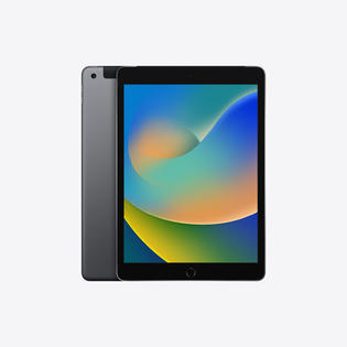 APPLE iPad 9th Gen A2603 10.2" Tablet 64GB Unlocked Space Gray iOS -Very Good