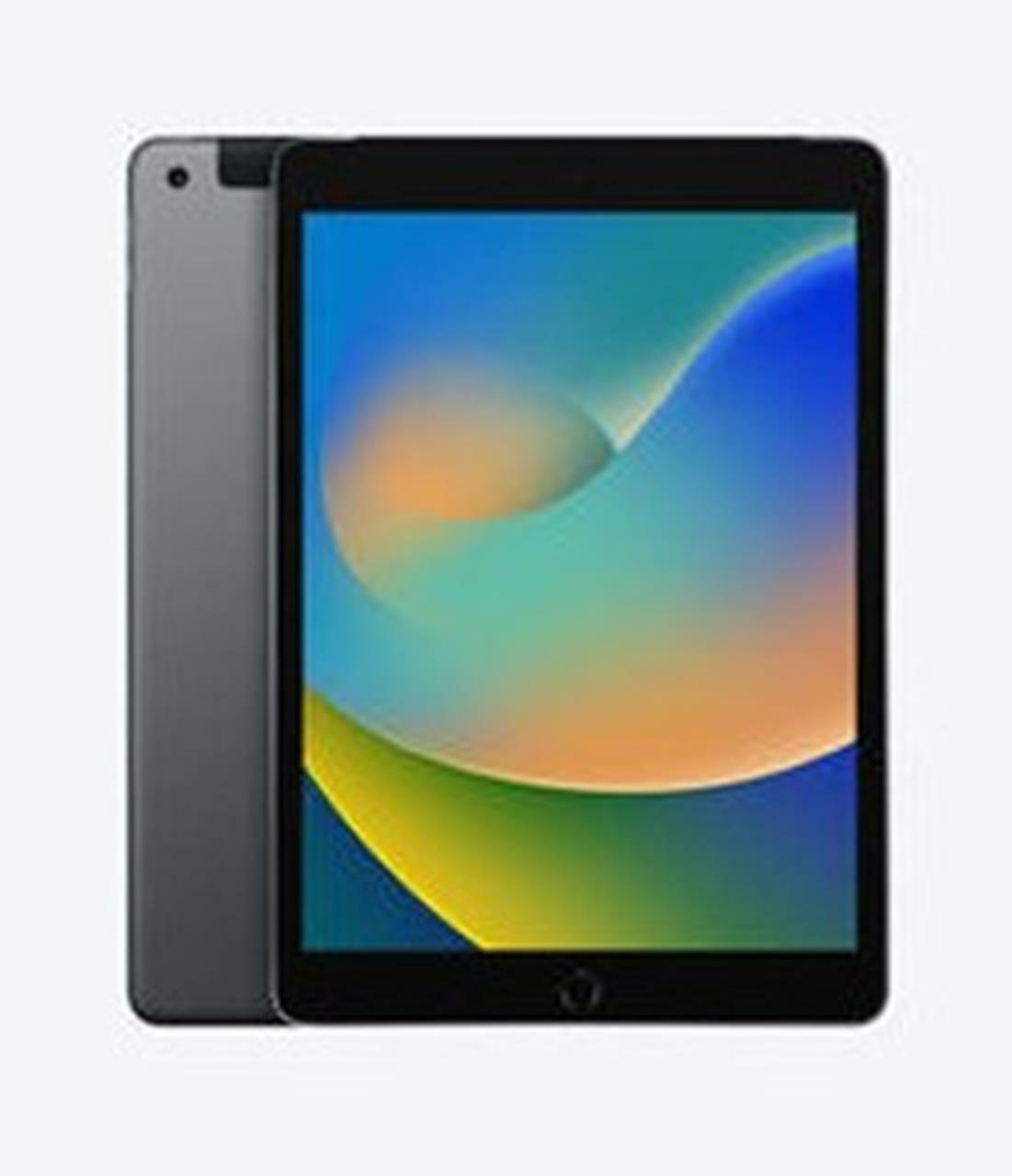 APPLE iPad 9th Gen A2603 10.2" 64GB Wi-Fi + Cellular Gray iOS -Good