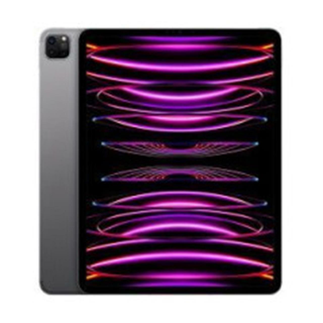 APPLE iPad Pro (6th Gen) A2764 12.9" 256GB AT&T Space Gray iOS -Very Good